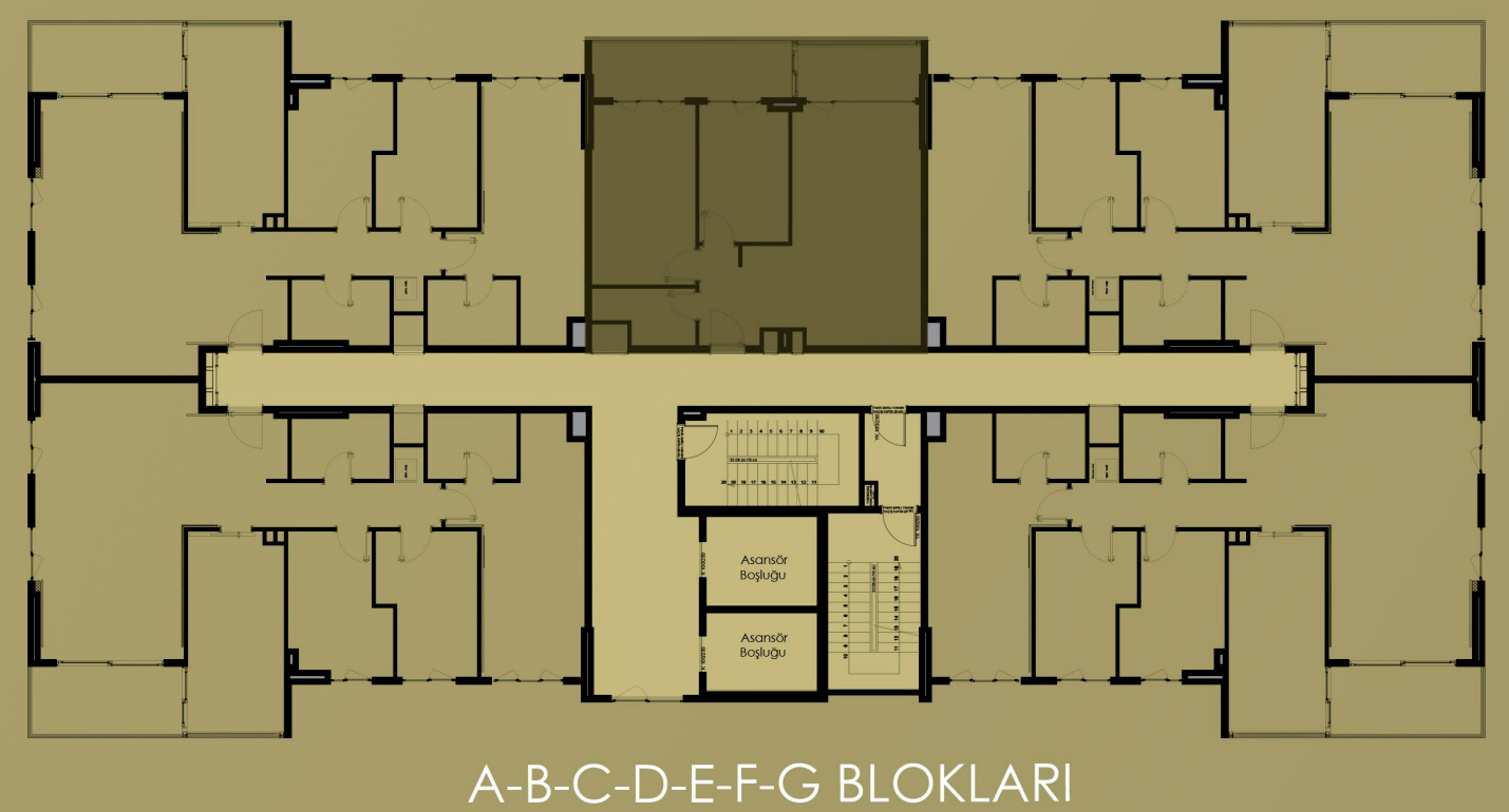 Vaziyet Planı
